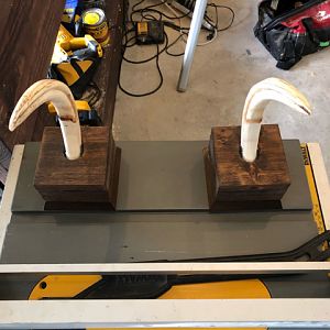 Warthog Tusk Display Project