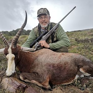 South Africa Hunting Blesbok