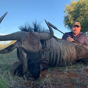 Hunting Blue Wildebeest in South Africa