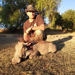 Hunting Warthog in South Africa