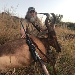 South Africa Hunting Red Hartebeest