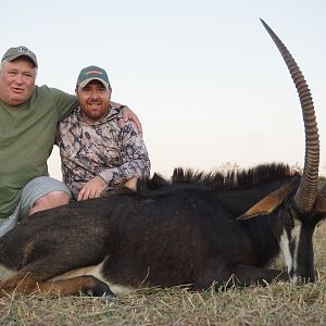 Zambia Hunt Sable Antelope