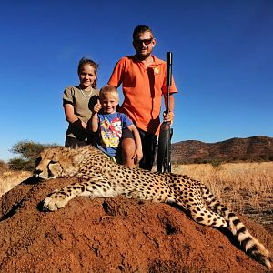 Namibia Hunting Cheetah