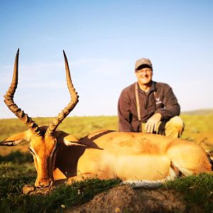 South Africa Hunt Impala