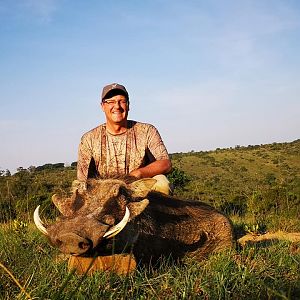 Hunt Warthog in South Africa