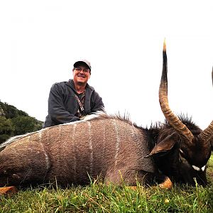 South Africa Hunt Nyala