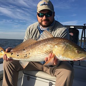 Redfish