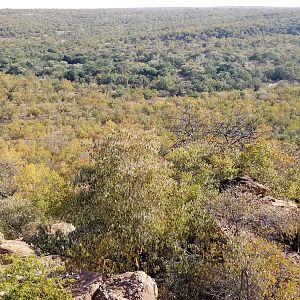 Hunting Area South Africa