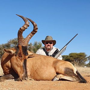 Red Hartebeest Hunting South Africa