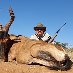 South Africa Hunt Red Hartebeest