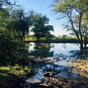 Hunting Area South Africa