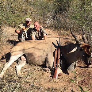 Eland Hunting South Africa