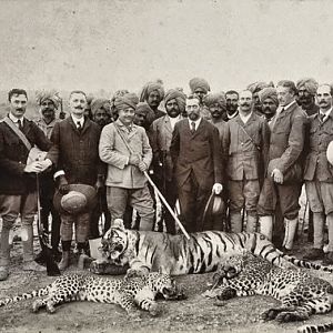 Tiger Hunting,George V, Prince of Wales in 1906