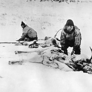 Reindeer Hunt Canada