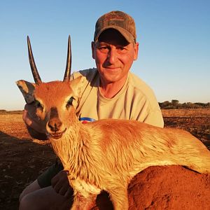 Steenbok Namibia