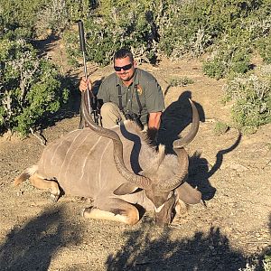 Hunt Kudu in South Africa