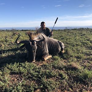 South Africa Hunting Blue Wildebeest