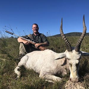 White Blesbok Hunt South Africa