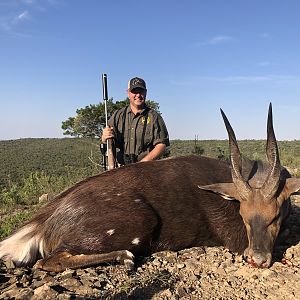 South Africa Hunt Bushbuck