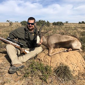 Black Springbok Hunting South Africa