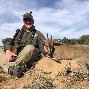 Hunt Duiker in South Africa