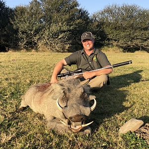 Warthog Hunt South Africa