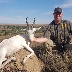 White Springbok Hunting South Africa