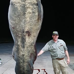 South Africa Hunting Cape Buffalo