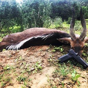 South Africa Handgun Hunting Bushbuck