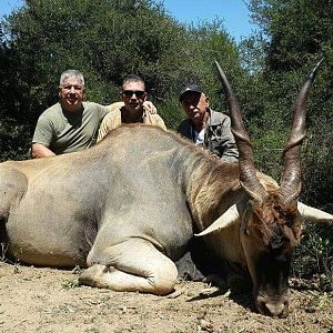 Hunt Eland in South Africa