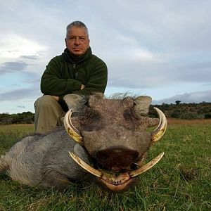 South Africa Hunting Warthog