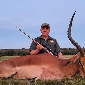 South Africa Hunt Impala