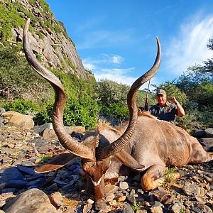 Hunt Kudu in South Africa