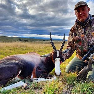 Bontebok Hunting South Africa