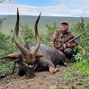 South Africa Hunting Nyala