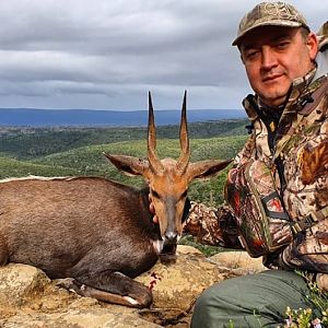 Bushbuck Hunt South Africa