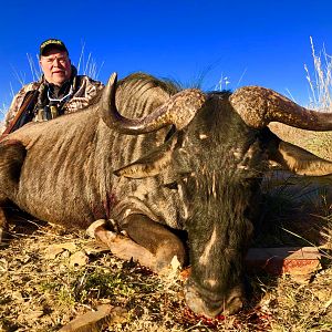 Blue Wildebeest Hunting South Africa