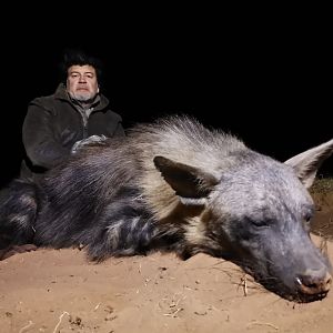 Hunt Aardwolf in South Africa