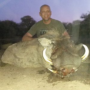 Warthog Hunt South Africa