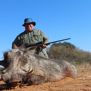 South Africa Hunting Warthog