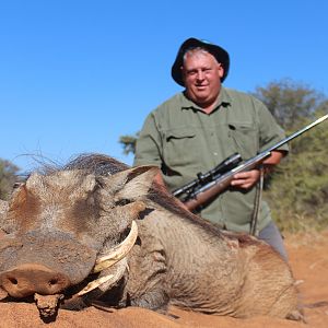 Warthog Hunt South Africa