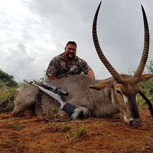 Waterbuck Hunt South Africa