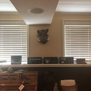 Trophy room