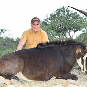 Hunting Sable Antelope in South Africa