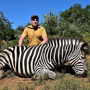 South Africa Hunt Burchell's Plain Zebra