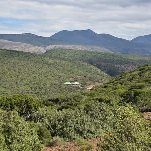 Hunting Area South Africa