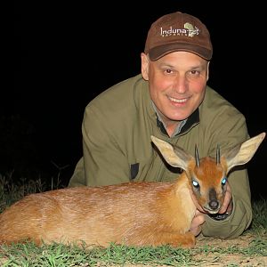 Cape Grysbok Hunting South Africa