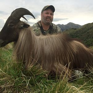 Tahr Hunt New Zealand