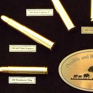 African Double & Bolt Action Cartridge Board from African Sporting Creations