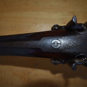 4-bore Rodda Double Rifle